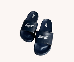 GenZ slides (NPS-10)