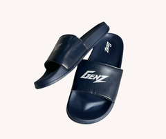 GenZ slides (NPS-10)