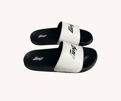 GenZ slides (NPS-10)